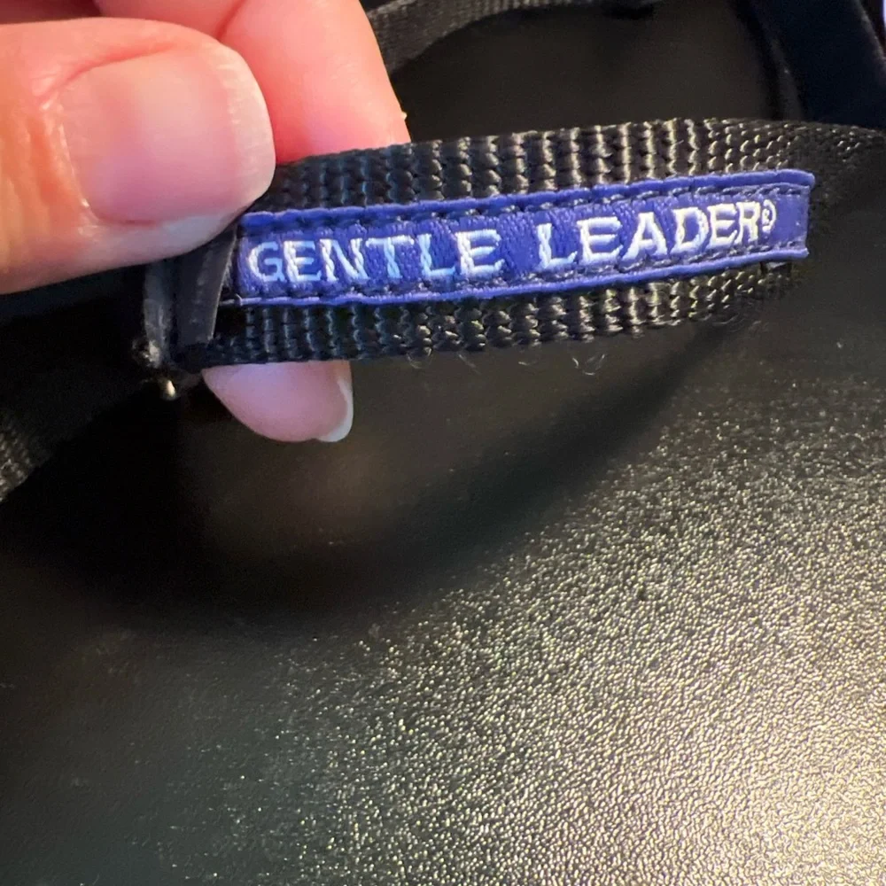 PetSafe Dog Quick Release GENTLE LEADER HEAD‎ COLLAR Medium Black